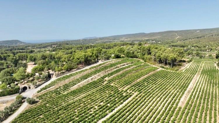 Maison Pipette Pipette Maison Le Castellet  Eksteriør billede